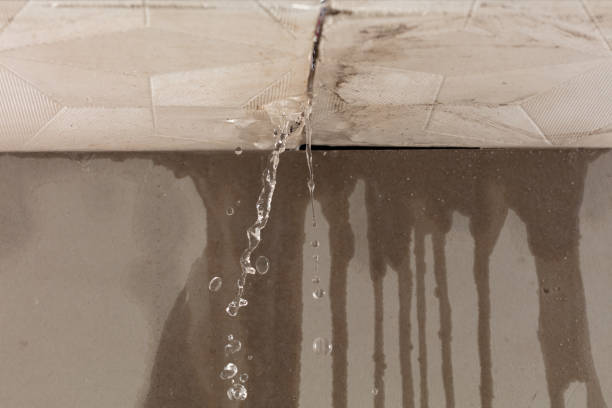 Professional Water Extraction technician working in Corder, MO